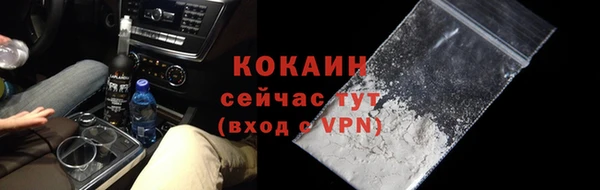 дмт Новодвинск