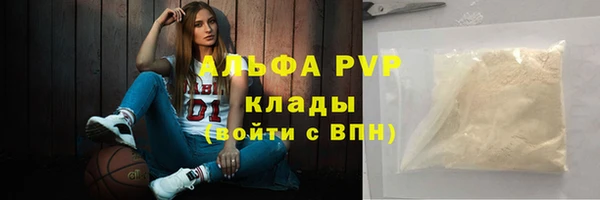 дмт Новодвинск