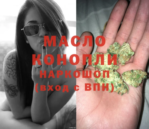 дмт Новодвинск
